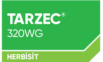 Tarzec