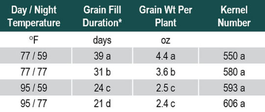 Table showing effect of temperature on grain fill duration, grain weight per plant and kernel number.
