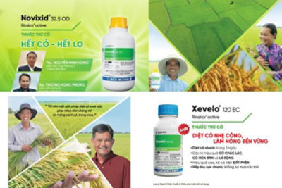 Thuốc diệt cỏ - Giải pháp cho một vụ mùa năng suất và bội thu!