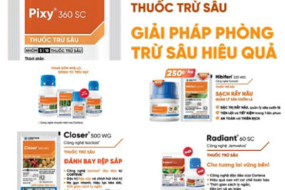 Thuốc Trừ Sâu Corteva - Sản Phẩm Diệt Sâu Hại Hiệu Quả Nhất!