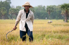 Trainingandadvocacy Desktop