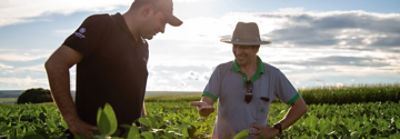 tsi-soja-banner-mobile