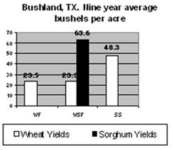 Comparison wheat/sorghum yields - TX