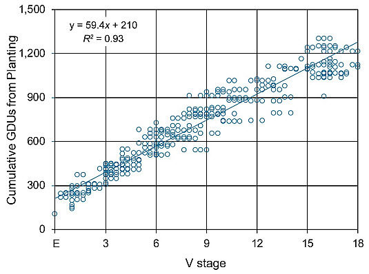 Chart showing the relationship between corn vegetative (V) stage and cumulative GDUs from planting for 73- to 87-CRM hybrids.