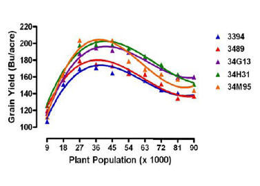 Average yield response of several Pioneer hybrids to plant population.