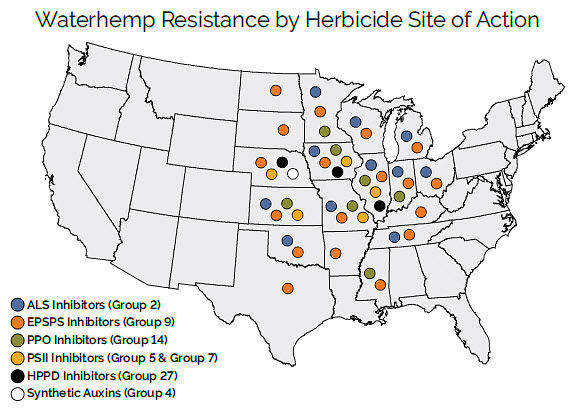 Waterhemp Resistance by Herbicide Site of Action