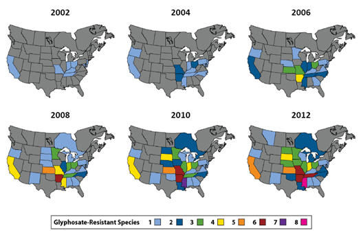 Confirmed glyphosate-resistant weed populations in North America, 2002-2012.
