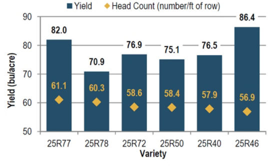 Average yield and head count of wheat varieties in descending head count order.