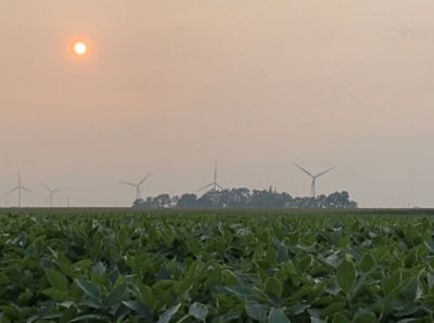 Is Smoke from Wildfires Affecting Crop Yields?