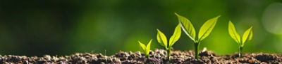 Colour Banner