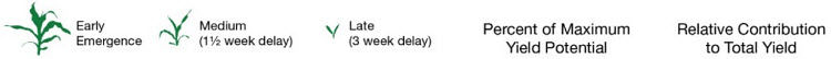 Yield potential of delayed and uneven corn stands.