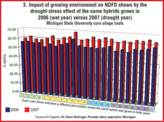 Chart: Data from Michigan State University silage plots harvested in a relatively wet growing season (2006) compared to the same hybrids harvested from the same plot in a relatively dry growing season (2007).