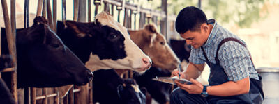 Zootecnista, o profissional essencial para o desenvolvimento da pecuária