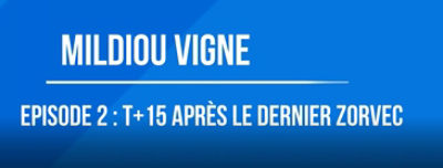 Zorvec Maguelone Episode 2