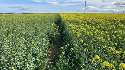 oprava katalogu 2024