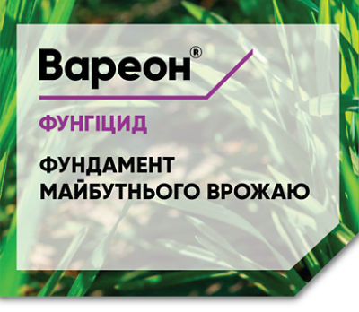 буклет Вареон