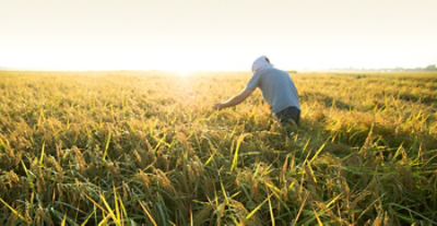 ルミスパンスFSヘッダー