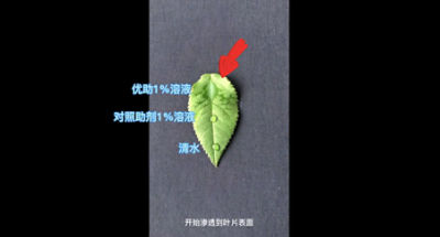 VID-优助-CN-202202.mp4