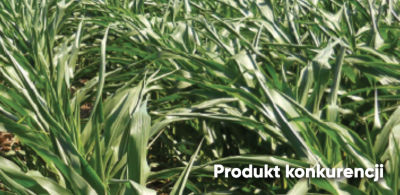 IMG_mieszance_STR-05_desktop2