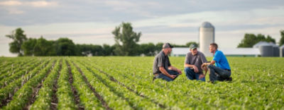 Three Men Crouching Field