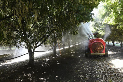 Orchard Spray Coverage Testing