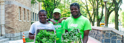 A Bronx School Garden Program: Serving Up Good Hydroponically