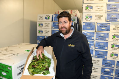 AU Andrew Bulmer, Bulmer Farms, Lindenow, Vic