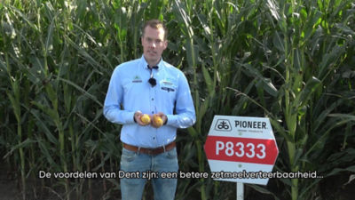 Betere zetmeelverteerbaarheid