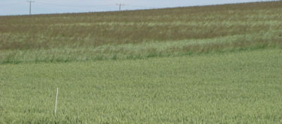 Article Hero Image Bizon Desktop 1024 x 450