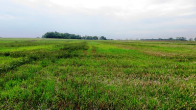 Article Image Genius 09