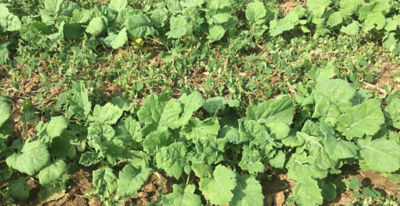 Article Image Runway 04