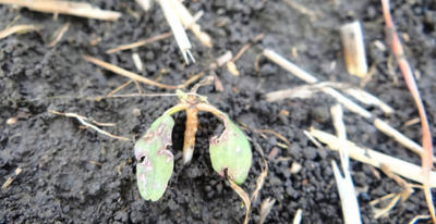 Article Image Runway 08