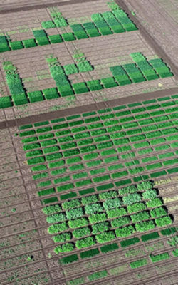 Breeza Virtual Field Tour