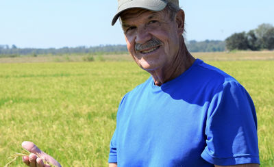 Fontenot in rice field