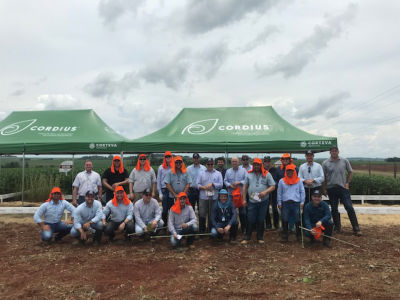 Circuito Técnologico Cordius