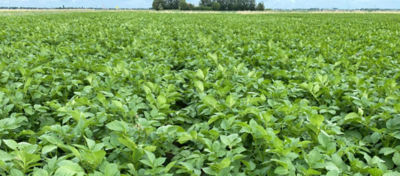 CloserPootgoedJuly2020Tip