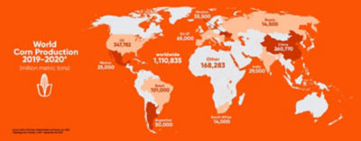 World Corn Production Map 2019-2020