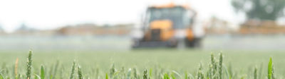 Tractor spraying herbicides on wheat