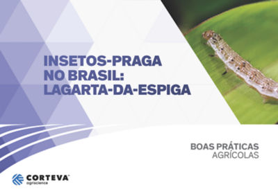 Insetos praga no Brasil: Lagarta-da-espiga