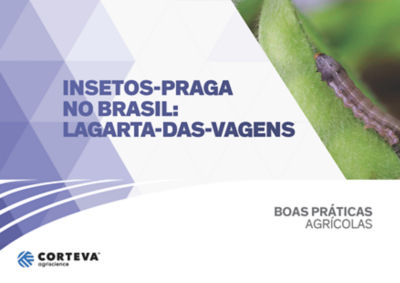 Insetos praga no Brasil: Lagarta-das-vagens