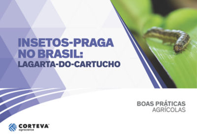 Insetos praga no Brasil: Lagarta-do-cartucho