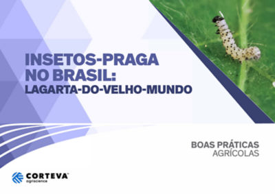 Insetos praga no Brasil: Lagarta-do-velho-mundo
