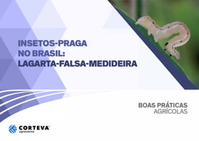 Insetos praga no Brasil: Lagarta-falsa-medideira