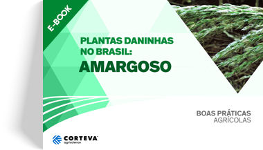 Plantas daninhas no Brasil: Amargoso