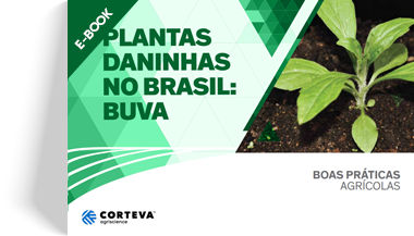 Plantas daninhas no Brasil: Buva