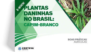 Plantas daninhas no Brasil: Capim-branco