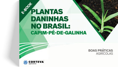 Plantas daninhas no Brasil: Capim-pé-de-galinha