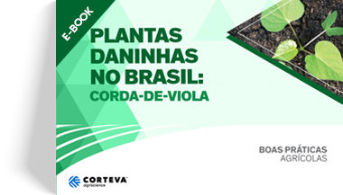 Plantas daninhas no Brasil: Corda-de-viola
