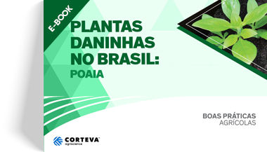 Plantas daninhas no Brasil: Poaia
