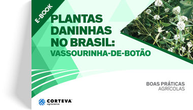 Plantas daninhas no Brasil: Vassourinha-de-botão